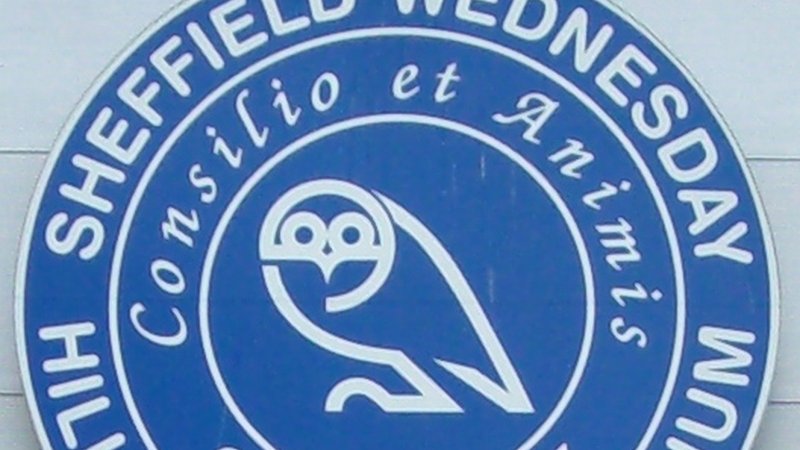 Sheffield Wednesday Takeover: Three Weeks That Could Define the Club's Future